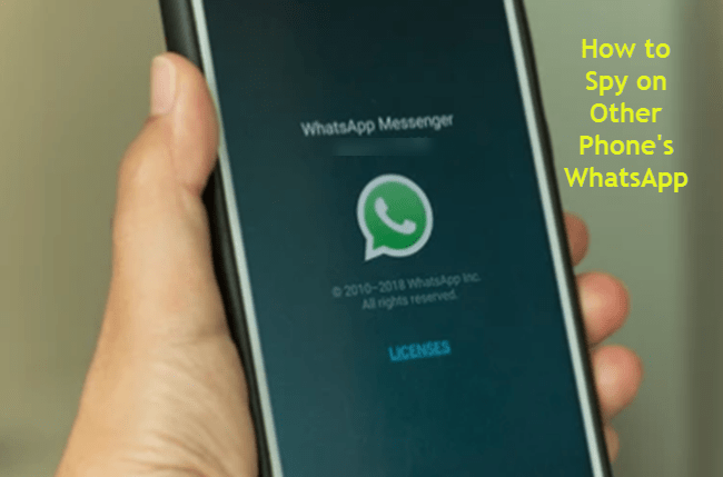 How to Track WhatsApp Messages